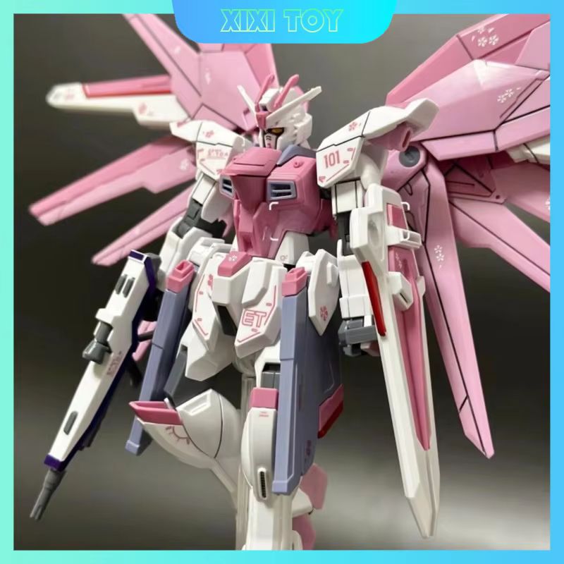 JMS HG 1/144 ZY-06 Freedom Ass – Bandai Gundam Rg recenzja i cena