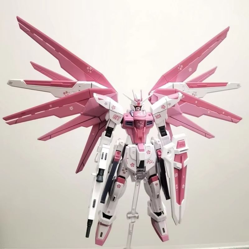 JMS HG 1/144 ZY-06 Freedom Ass – Bandai Gundam Rg recenzja i cena